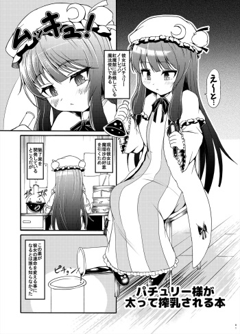 Patchouli-sama ga Futotte Sakunyuu Sareru Hon cover