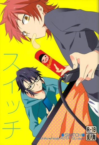 Switch cover
