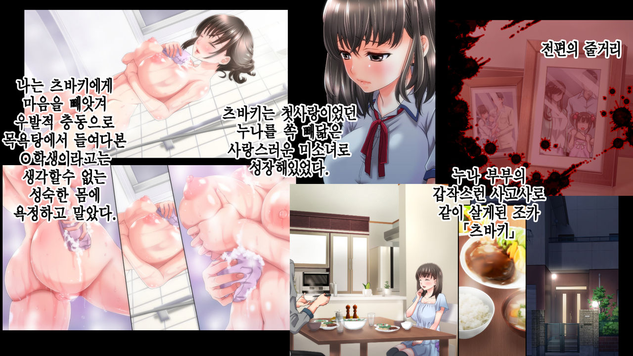 Ane no Wasuregatami no Mei o Ore wa Okashita ~Kouhen~ | 누나가 죽고 남긴 조카를 나는 범 했다 후편 page 2 full