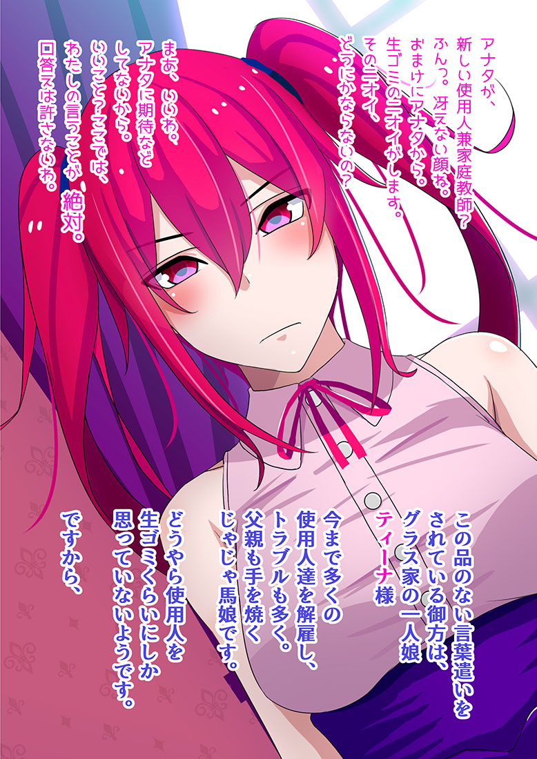 Namaiki Ojou-sama no Seidorei Kyouiku page 2 full