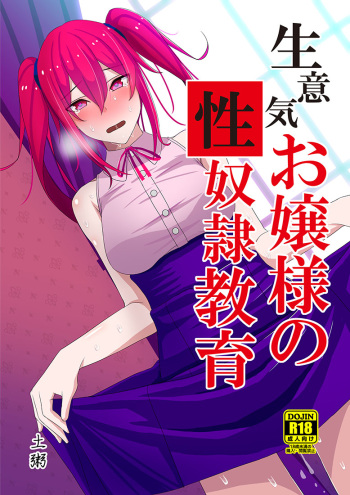 Namaiki Ojou-sama no Seidorei Kyouiku cover