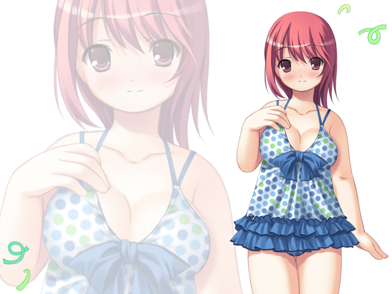 "S no Scenario" Event CG Gashuu page 5 full