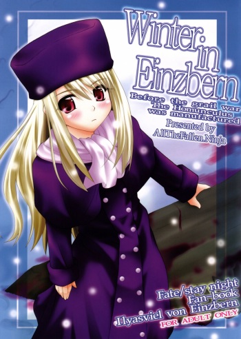 Winter in Einzbern cover