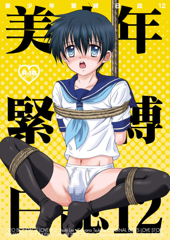 Bishounen Kinbaku Nisshi 12 cover