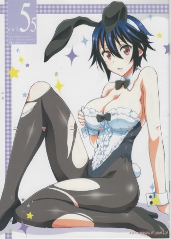 Nisenisekoi 5.5 cover