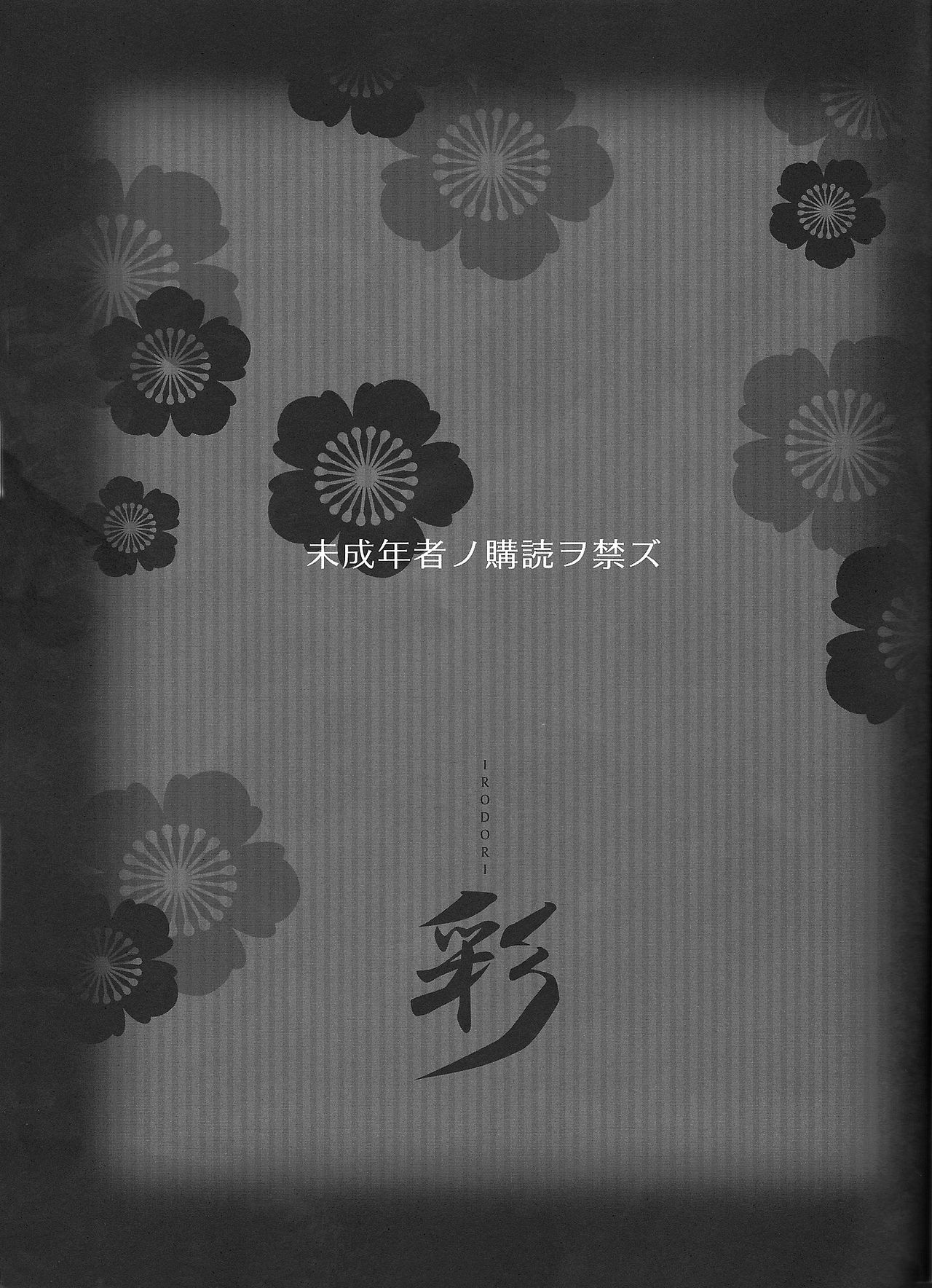 Irodori page 3 full