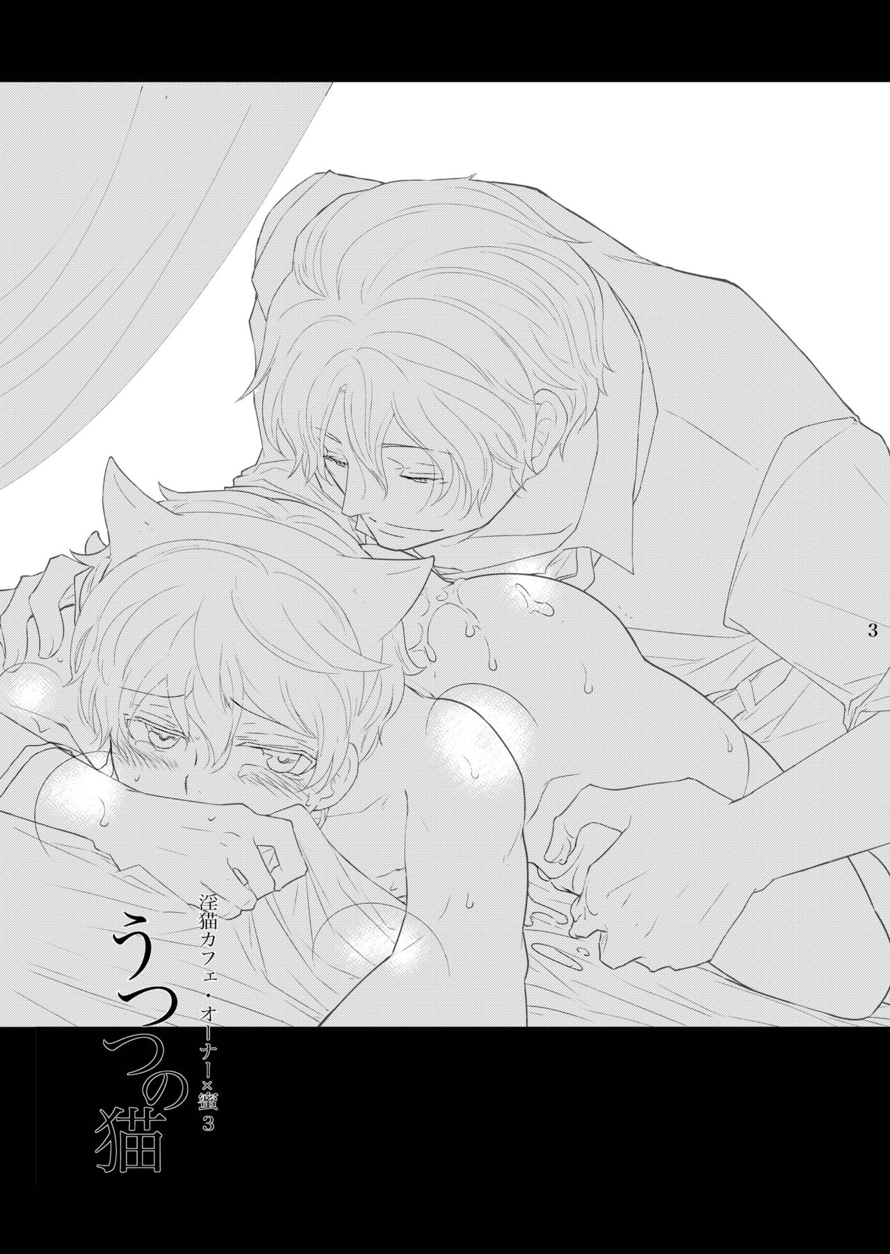 Utsutsu no Neko page 3 full