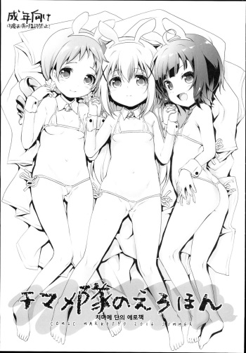 Chimametai no Erohon cover