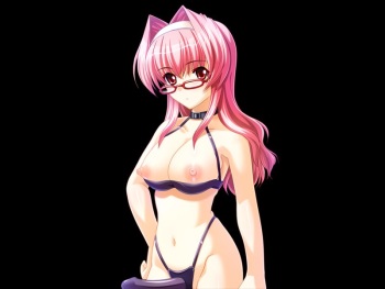 Sunao Cool cover