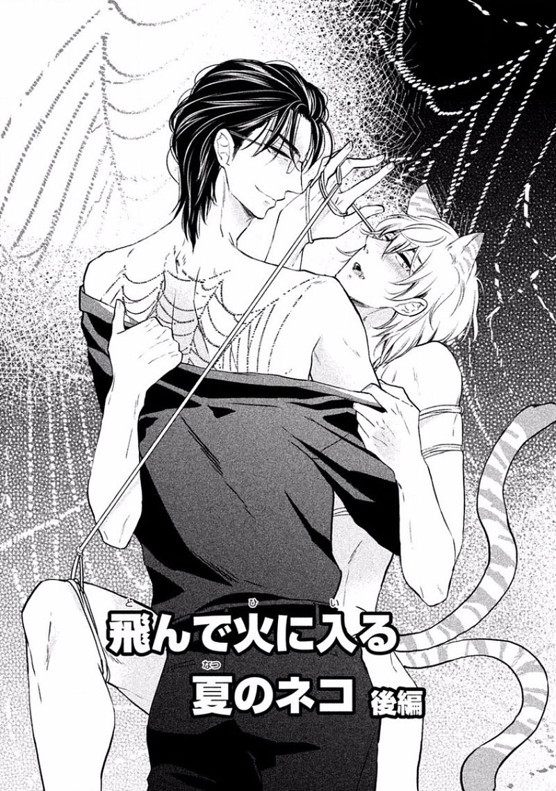 Tonde Hi Ni Iru Natsu No Neko Ch.2 page 3 full