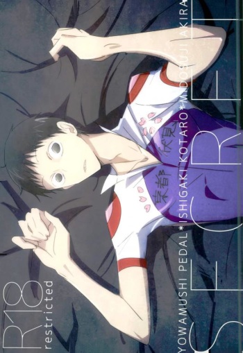 Secret cover