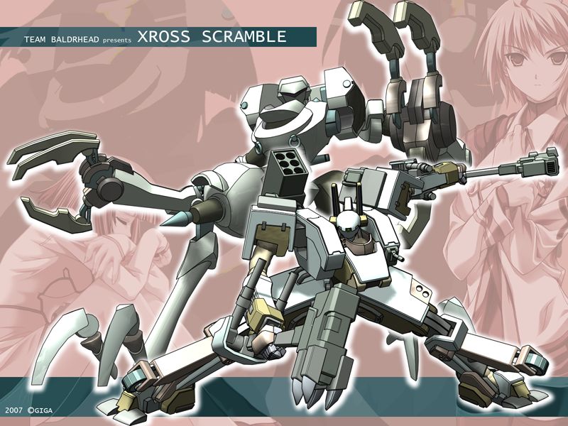 Xross Scramble - TEAM BALDRHEAD Perfect Collection page 8 full