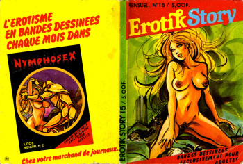Erotik Story - Volume 15 cover