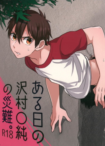 Aru Hi no Sawamura Eijun no Sainan cover