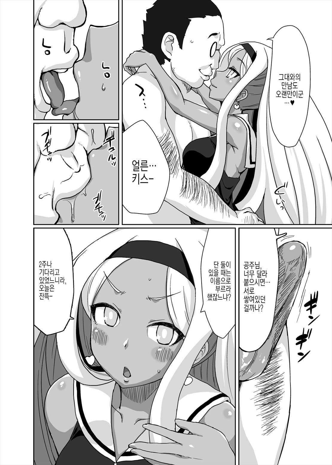 Netorare Hime | 빼앗긴 공주 page 3 full