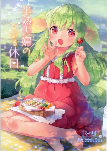 Hanjuku Fuufu no Toaru Kyuujitsu cover