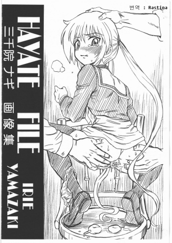 HAYATE FILE Sanzenin Nagi Gazoushuu cover
