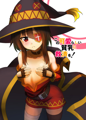 Kono Kawairashii Hinnyu ni Kyuusai o! cover