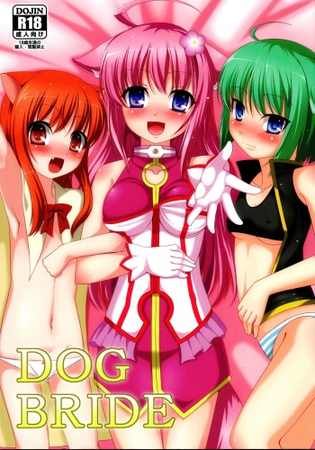 DOG BRIDE cover