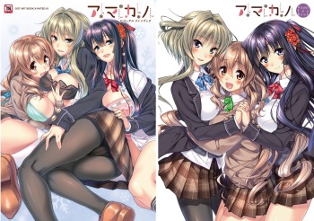 Amakano Visual Fan Book cover