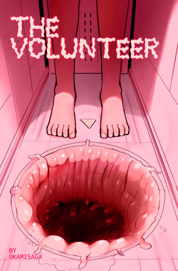 The Volunteer cover
