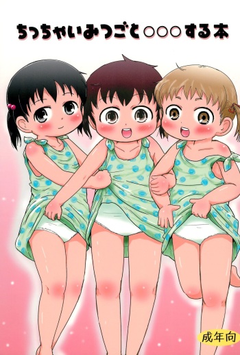 Chicchai Mitsugo to ○○○ suru Hon cover