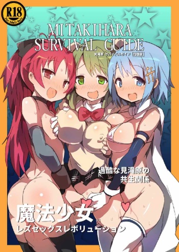 MITAKIHARA SURVIVAL GUIDE cover