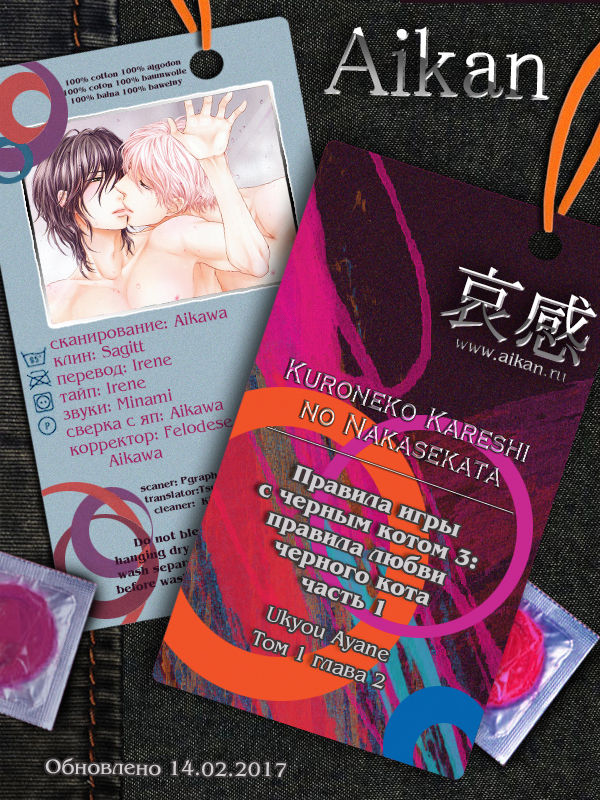 Kuroneko Kareshi no Aishikata 1 | Правила игры с чёрным котом 3: Правила любви чёрного кота - Часть 1 page 2 full