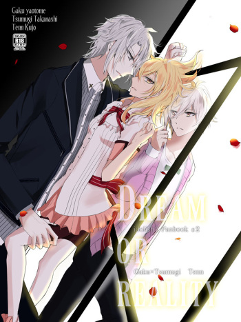 DREAM OR REALITY sample cover