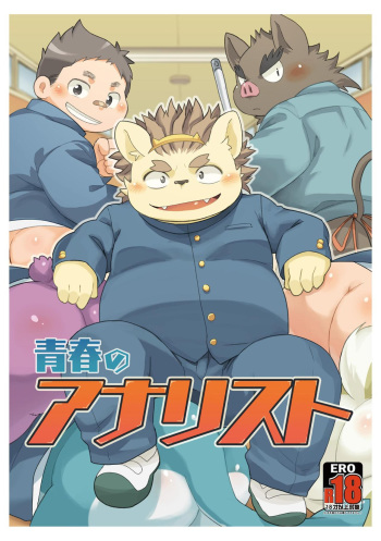 Seishun no Analyst cover