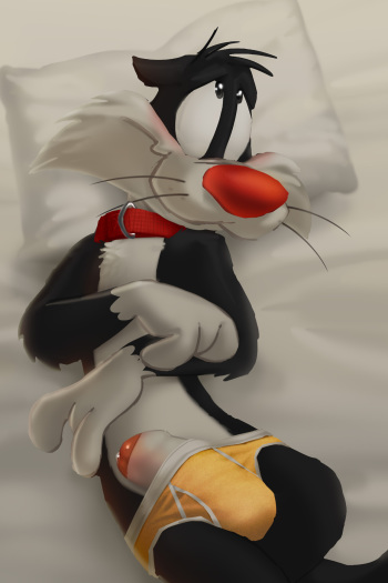 Sylvesters cover