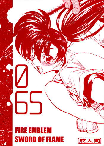 065 cover