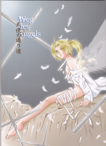 Weg des Engels cover