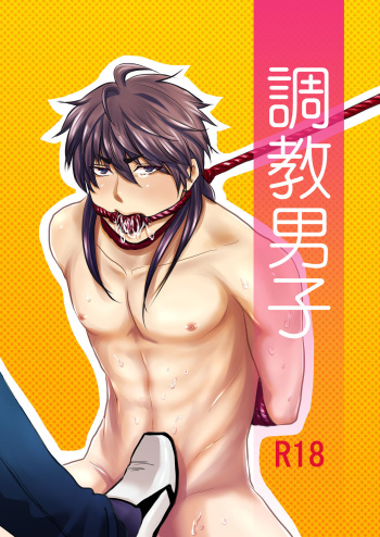 Choukyou Danshi cover