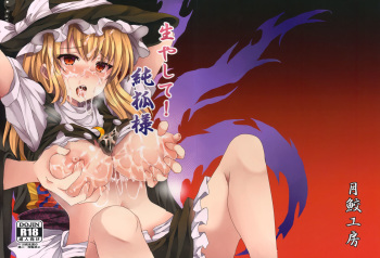 Hayashite Junko-sama! cover