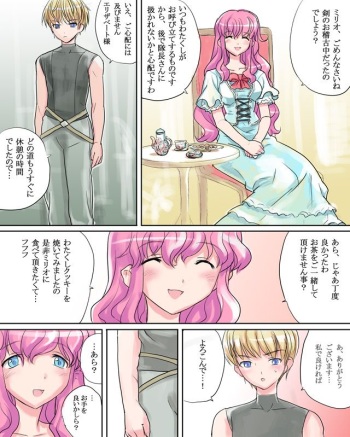 Elizabeth Hime cover