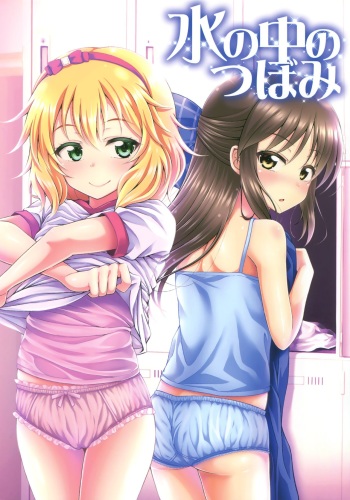 Mizu no Naka no Tsubomi cover