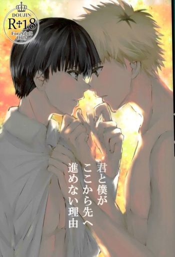 Kimi to Boku ga Kokokara Saki e Susumenai Riyuu cover