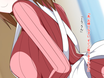 Ochite Iku Haha ~Aishita Haha ga Ubawareru made~ cover