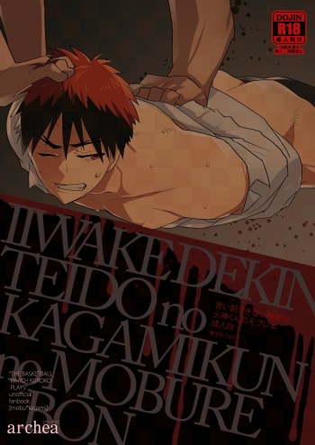 Iiwakedekinai Teido no Kagamikun no Mobure Bon cover