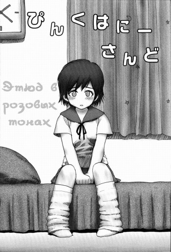 Pink Honey Sand | Этюд в розовых тонах cover