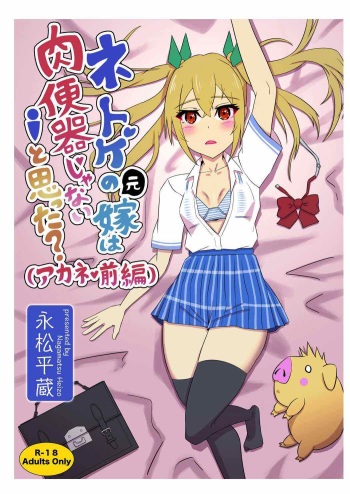 Netoge no Motoyome wa Nikubenki ja Nai to Omotta? ~Akane Zenpen~ cover