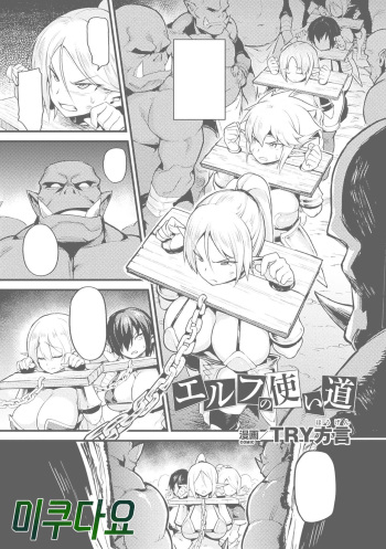 Elf no Tsukaimichi cover