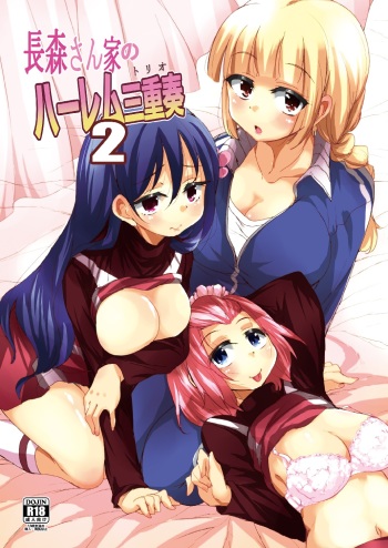 Nagamori-san-chi no Harem Trio 2 cover