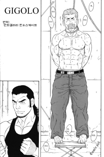 Gigolo cover