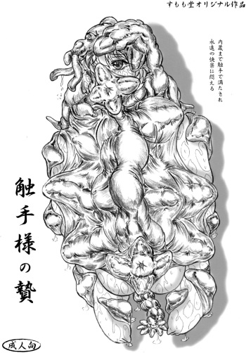 Shokushu-sama no nie cover
