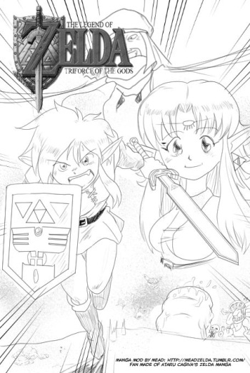 The Legend of Zelda : Triforce of the Gods cover
