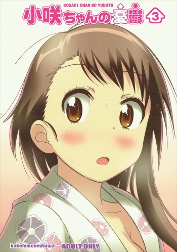 KOSAKI CHAN NO YUUUTU 3 cover