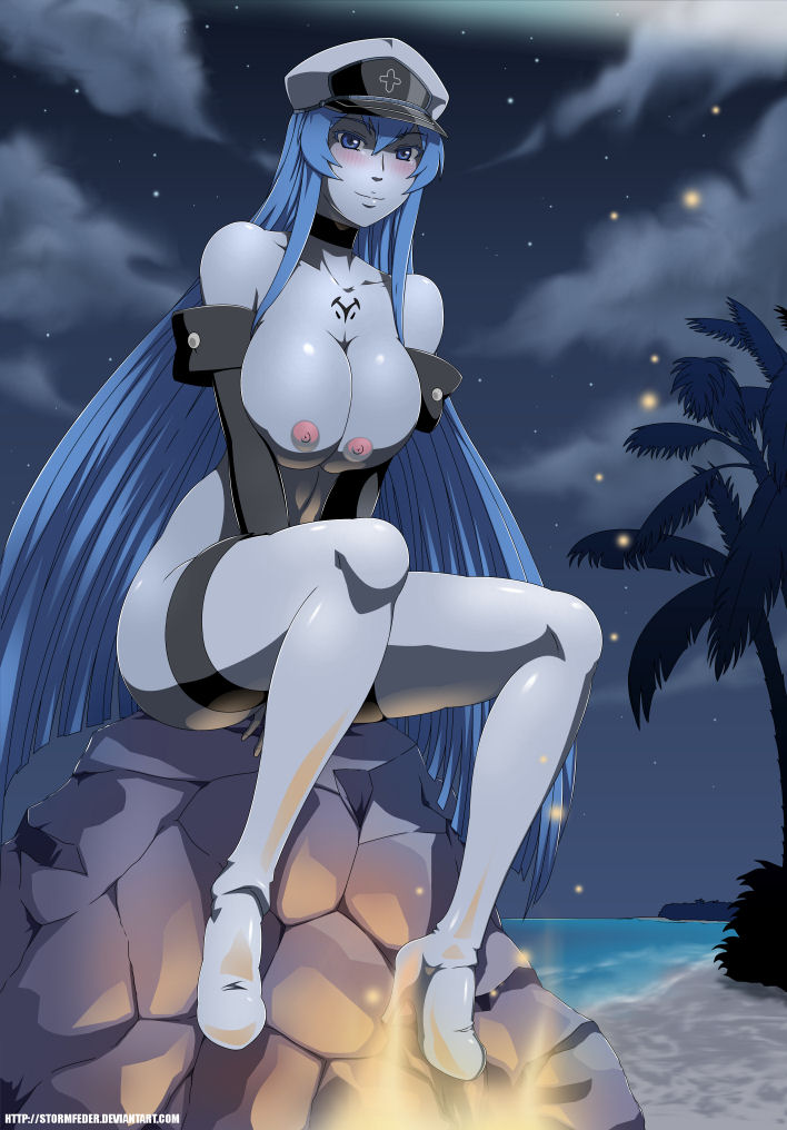 Akame Ga Kill collection page 8 full