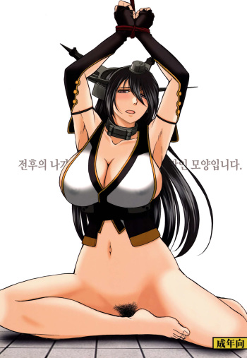 Sengo no Nagato wa Yokkyuufuman Mitai desu cover